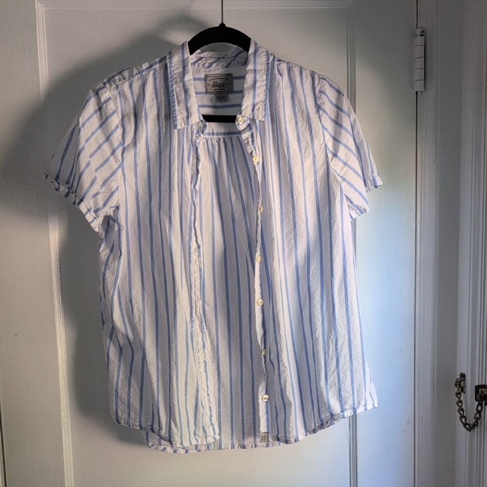 Bass & Co Casual Blue and White Striped Shirt